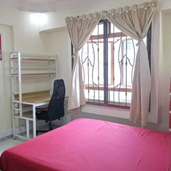 Blk 313D Anchorvale Gardens (Sengkang), HDB 4 Rooms #497321991